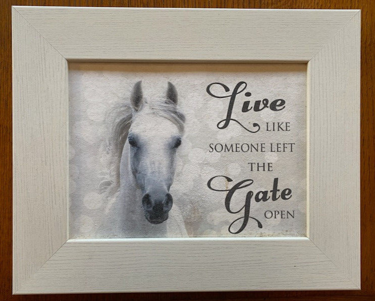Horse Wall Hanging «Live Like Someone Left the Gate Open» by Summer Snow Art