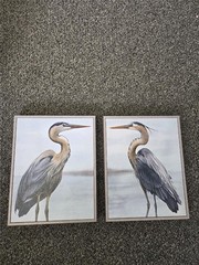 == Stupell Art Detailed Heron Bird Duo 2 PC Set Gray Framed Giclee Grace Popp