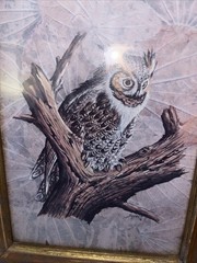 VTG Owl Framed Wall Art Set Of 2 Gold Wood Distressed Frames Rustic Nature Birds