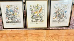 Robert Furber Botanical Floral Wall Art Prints. (3 frames 12”x16”in)