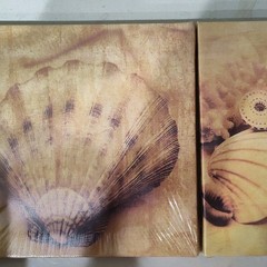 Greenbrier International Coastal Seashells Canvas Print Set Contemporary Art