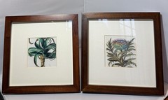 Set Of 2 Pottery Barn Framed Botanicals Artwork Room Decor 9” X 9”