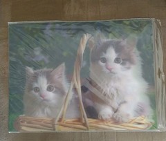 3D holographic posters, ocean life & kittens (15.5″ x 11.5″) Lot 2