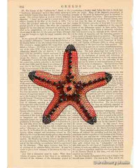 Red Starfish Art Print on Vintage Book Page Star Fish Nautical Home Decor Gifts