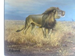 NEW lion in wilderness Oil Painting on canvas 16″x20″