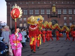 CHINESE NEW YEAR GLOSSY POSTER PICTURE PHOTO china asian parade dragon decor 724