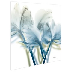 Frameless Free Floating Tempered Glass Panel Graphic Wall Art Ready to Hang, …