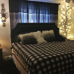 Vid De Sauce Iluminada, Soporte De Pared Para Decoración Del Hogar LED NEW US.