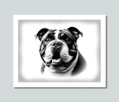 BULLDOG Dog Photo Picture Pet Print in 8×10, 8.5×11 or 11×14 WB1b