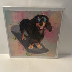 Dachshund Dog Wrapped Canvas ON SKATEBOARD Framed Wall Art Decor 14×14”