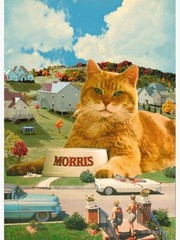 Morris The Cat Vintage Advertisements 8.5×11 Glossy Photo Print
