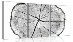Abstract Tree Rings Canvas Print Set of 3, Wood Texture Art Large Wood Wall Art
