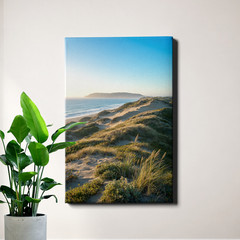 Coastal Sand Dunes Green Grass Landscape Framed Wall Art 12x18inch