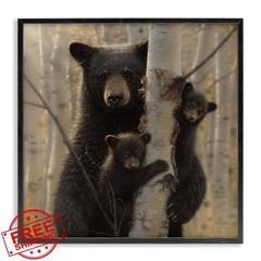 Stupell Industries Bear Cubs Woodland 17″x17″ Black Frame