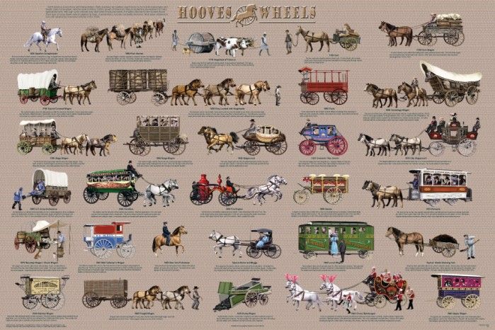 NEW Educational Hooves & Wheels / Horse & Cart – Chart Wall Poster