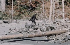 Capturing Bigfoot Patterson Gimlin Film Frame 352 Sasquatch Print 4×6″