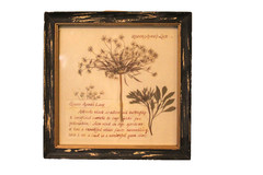 Creative Co-Op Queen Anne’s Lace Floral Rustic Wall Decor Hanging Picture NEW