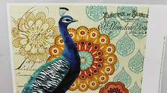 Jennifer Brinley Peacock I Wall Art Print 12″ X 12″ Square 16″ X1 4″ MATTE VTG