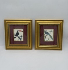 Vintage Somerset Studios Framed Art Print Macaw Parrot & Toucan Gold Tone Maroon