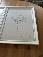 IKEA Floral Botanical Wall Art Prints Framed Set of 3 White Frames Decor