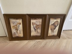 Set Of 3 Wood Framed Prints By J. Gibson Lion, Leopard & Cheetah Animal Prints