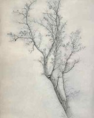 19th Century Tree Sketch Canvas Art Print Antique Landscape Wall Decor