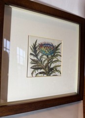 Set Of 2 Pottery Barn Framed Botanicals Artwork Room Decor 9” X 9”