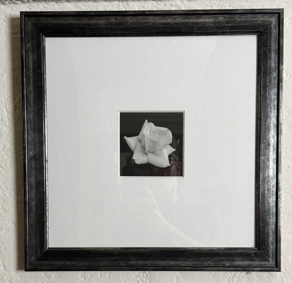 Framed Black & White Rose Print | Elegant Floral Wall Art | Ready to Hang