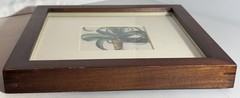Set Of 2 Pottery Barn Framed Botanicals Artwork Room Decor 9” X 9”