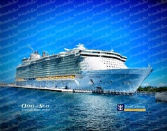 Oasis of the Seas Royal Caribbean Canvas Print 11in x 14in