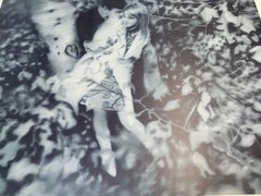 GERHARD RICHTER Lovers in the Forest 26.75″ x 28.25″ Poster 1995 Contemporary Bl
