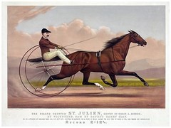 Decorative Poster.Interior wall art design.Decor Art.Race Horse.Jockey.4132