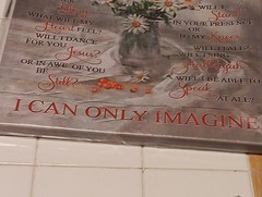 Christian Canvas – I Can Only Imagine Wall Art Christian Flowers Jesus Heaven