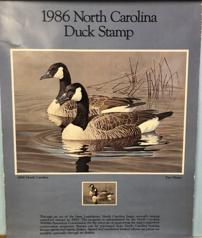 Vintage 1986 North Carolina Duck Stamp Poster By Tom Hirata 18″ X 23 1/2 #P2