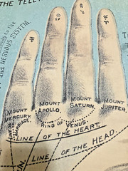New Cavallini & Co. Palmistry Guide Poster, Archival Paper, Matte
