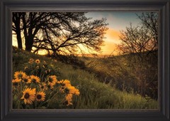 Sunrise Silhouette – 24×36 – Antique Black Frame
