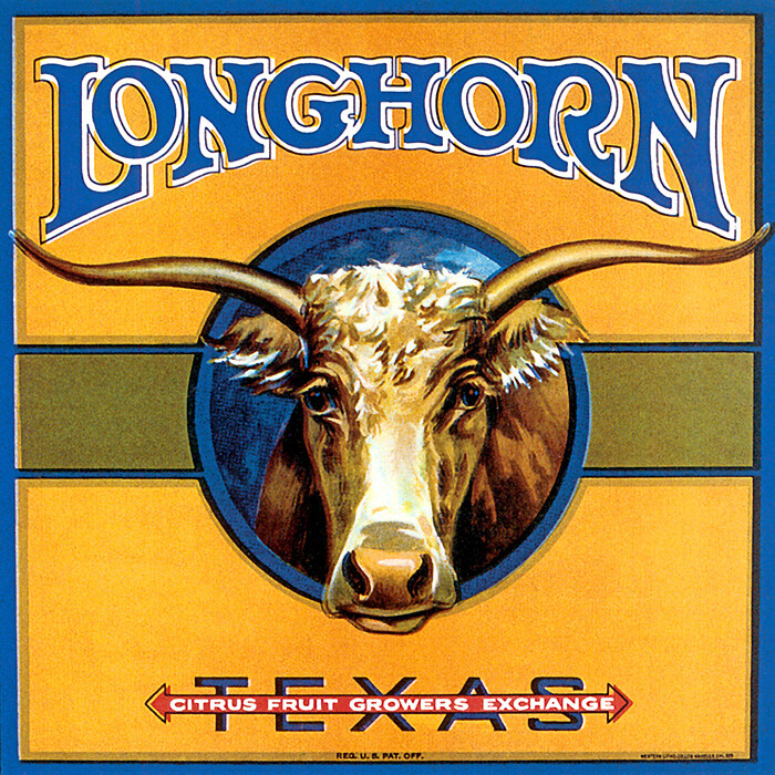 BULL LONGHORN TEXAS FRUIT GROWERS USA CRATE LABEL VINTAGE POSTER REPRO LARGE
