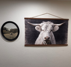 Framed Multicolor Cow Wall Art Print, Animals Theme, Adult Home Decor