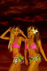 Barbi Twins Double Delight Sexy Female Models Wall Art Home Decor – POSTER 20×30