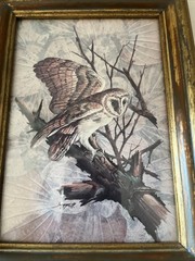 VTG Owl Framed Wall Art Set Of 2 Gold Wood Distressed Frames Rustic Nature Birds
