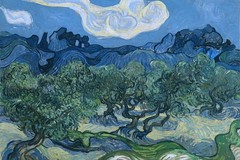Vincent Van Gogh The Olive Trees Van Gogh Wall Art Impressionist Painting Style