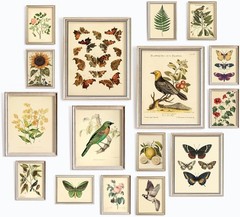 Large 11×14 Vintage Botanical Wall Art Decor Plant Posters For Room Aesthetic