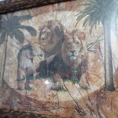 Set Of 5 Vintage African Wildlife Framed Art Prints With Leopard Pattern Frames