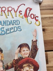 D.M. FERRY & COMPANIES STANDARD SEEDS ADVERTISING POSTER REPRINT? 24 X 12.5