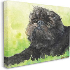Brussel Griffon Pet Dog Portrait Green Black
