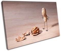 Comedy Walnut Brain Food Kitchen SINGLE CANVAS WALL ART Picture Print VA