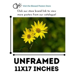 Yellow Daisy Botanical Print – Vibrant Flower Wall Art for Living