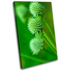 Plant Nature Natural Organic Floral Flower Canvas Artwork Picture Print Photo