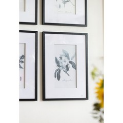 Set of 4 Botanical Wall Art Prints, Home Decor for Living Room, Dining 20″ x 28″