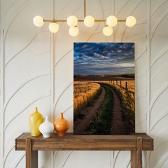Serene Landscape Depicting Golden Wheat Fields Under A Dramatic Sky Wall Art